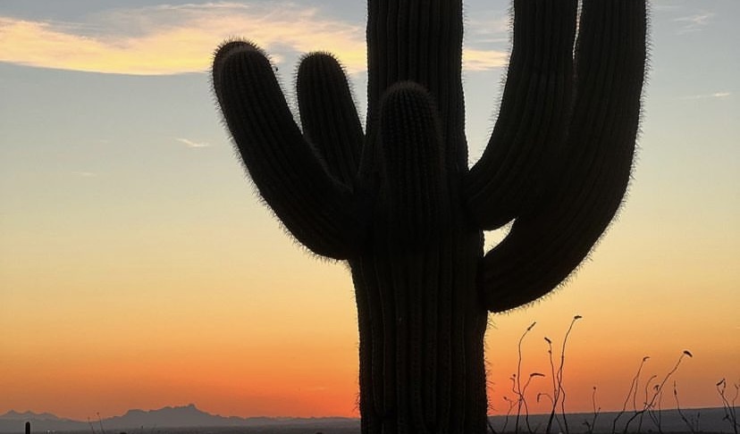 A beautiful, desert sunset in Tucson, Arizona.