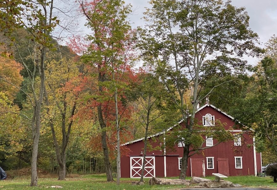 The present day barn. The barn has been renovated and will eventually be used as a guest house when, the Forge House is completed. The Bouldin Family is currently living in the refinished barn, until the forge is completed.