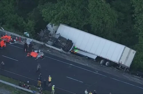 A white semi-truck off Route 30 in a wooded area after a multi-vehicle crash